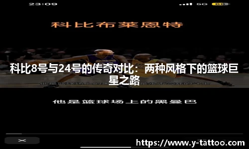 中欧体育官网