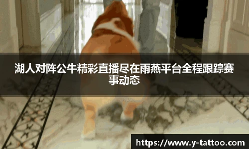 中欧体育官网