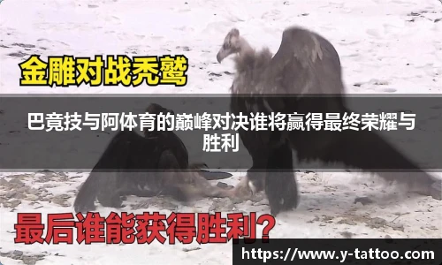中欧体育官方网站